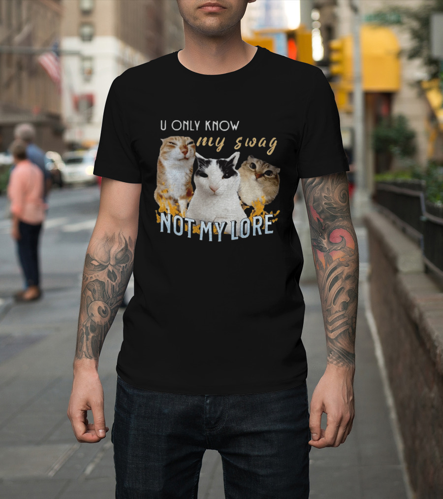U Only Know My Swag Not My Lore Funny Cat Trio T-Shirt