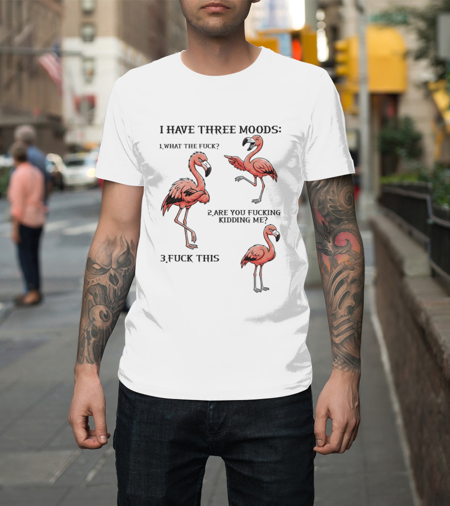 I Have Three Moods What The Fuck Are You Fucking Kidding Me Fuck This Flamingo T-Shirt