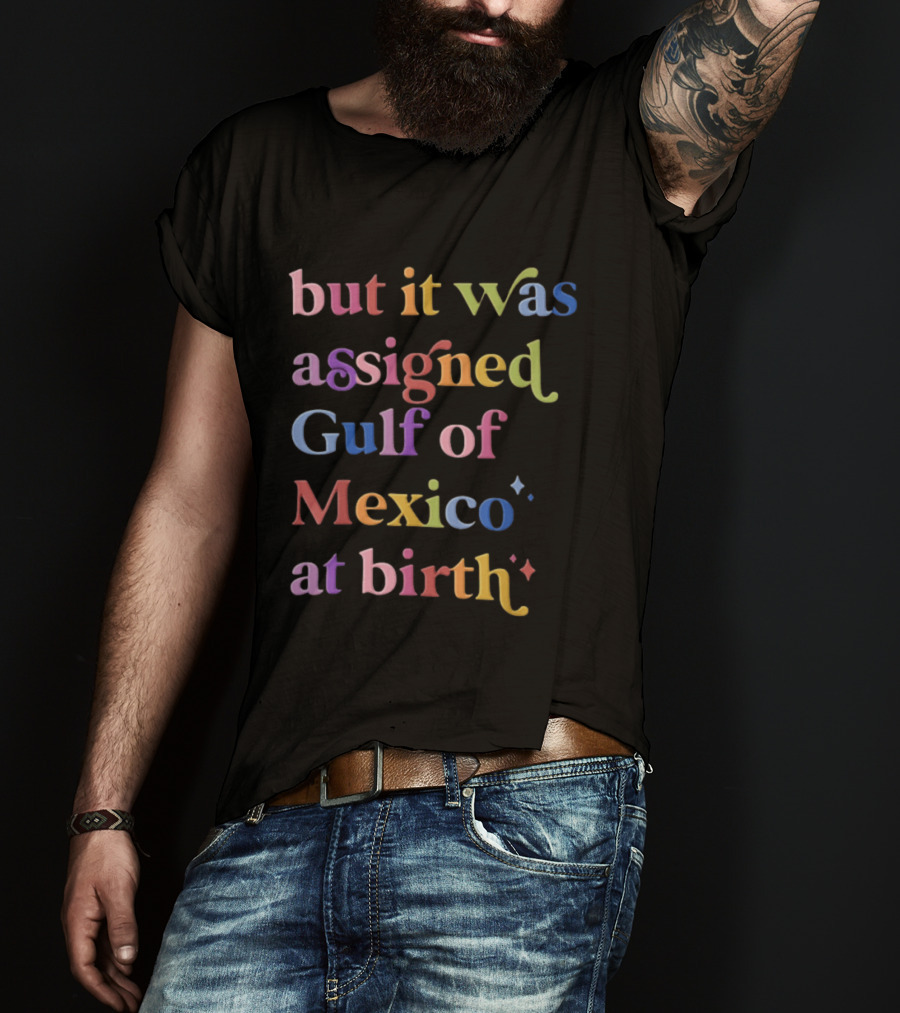 But It Was Assigned Gulf Of Mexico At Birth Rainbow T-Shirt