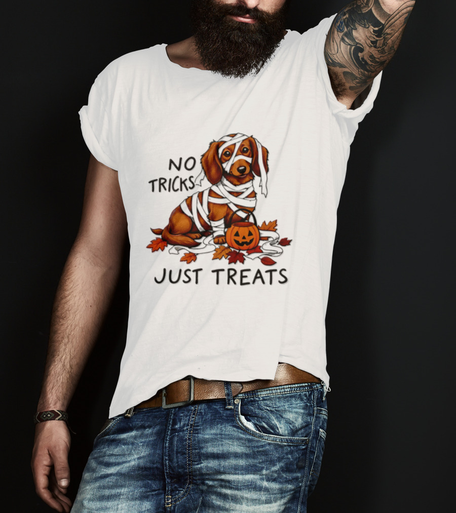 No Tricks Just Treats Dachshund Mummy Halloween Pumpkin Dog T-Shirt