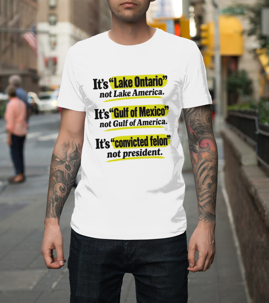 It's Lake Ontario Not Lake America Gulf Of Mexico Not Gulf Of America Convicted Felon Not President T-Shirt