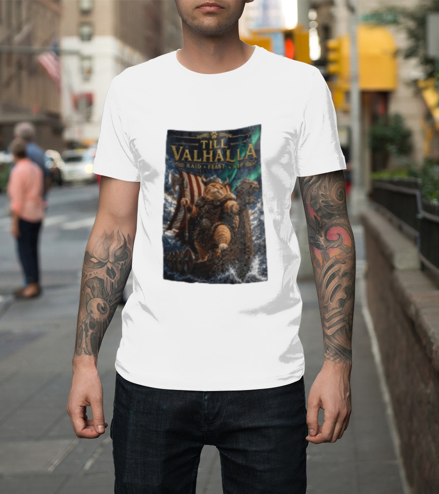 Till Valhalla Raid Feast Nap Viking Cat On Longship With Northern Lights T-Shirt