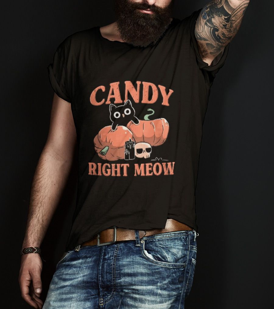 Candy Right Meow Black Cat Pumpkins Candles Skull Halloween T-Shirt