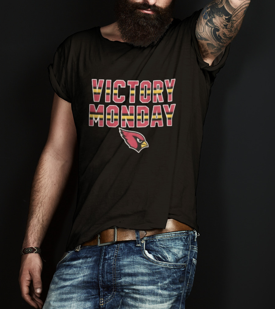 Victory Monday Arizona Cardinals Bird Head Striped T-Shirt