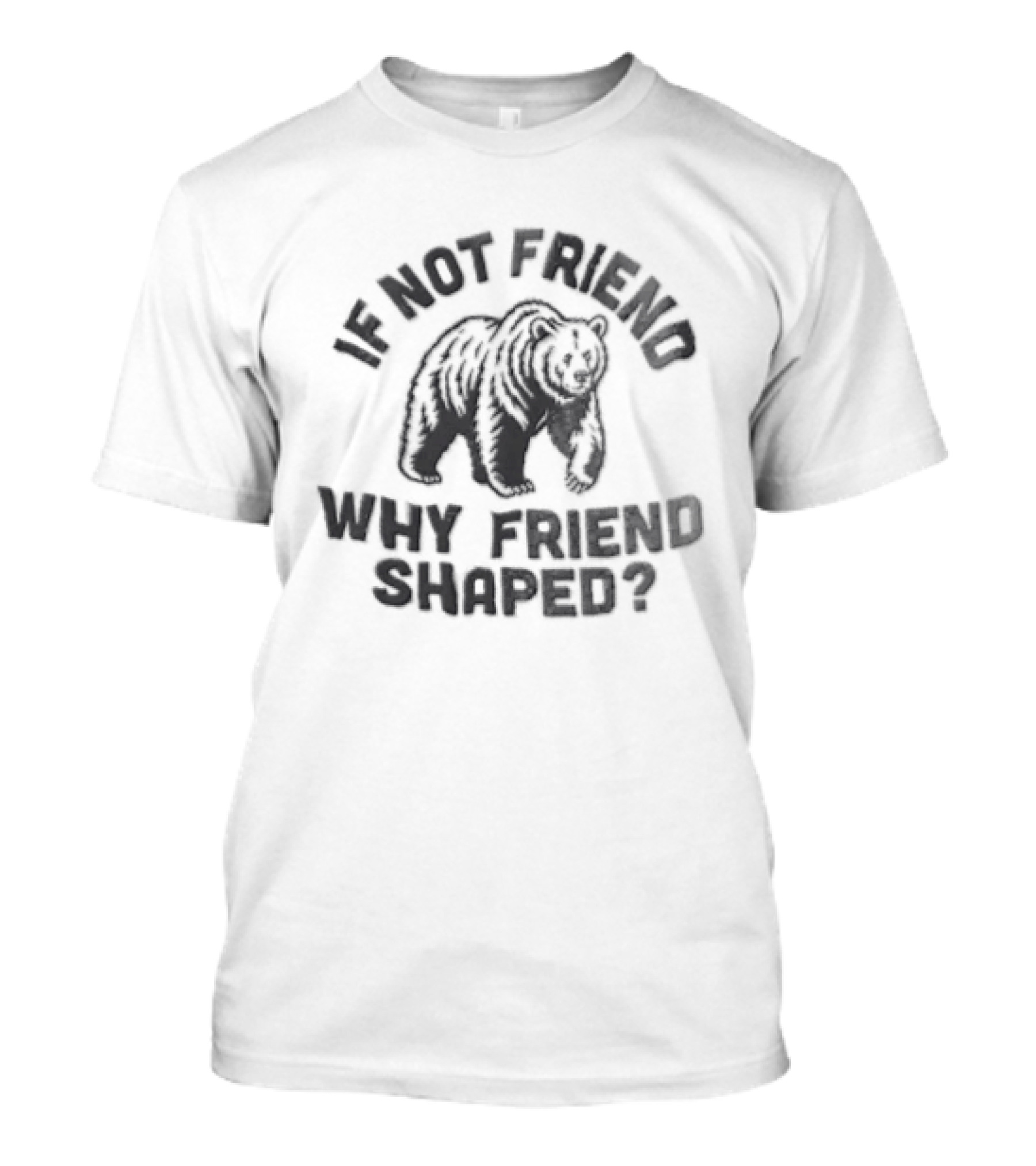 If Not Friend Why Friend Shaped Bear T-Shirt