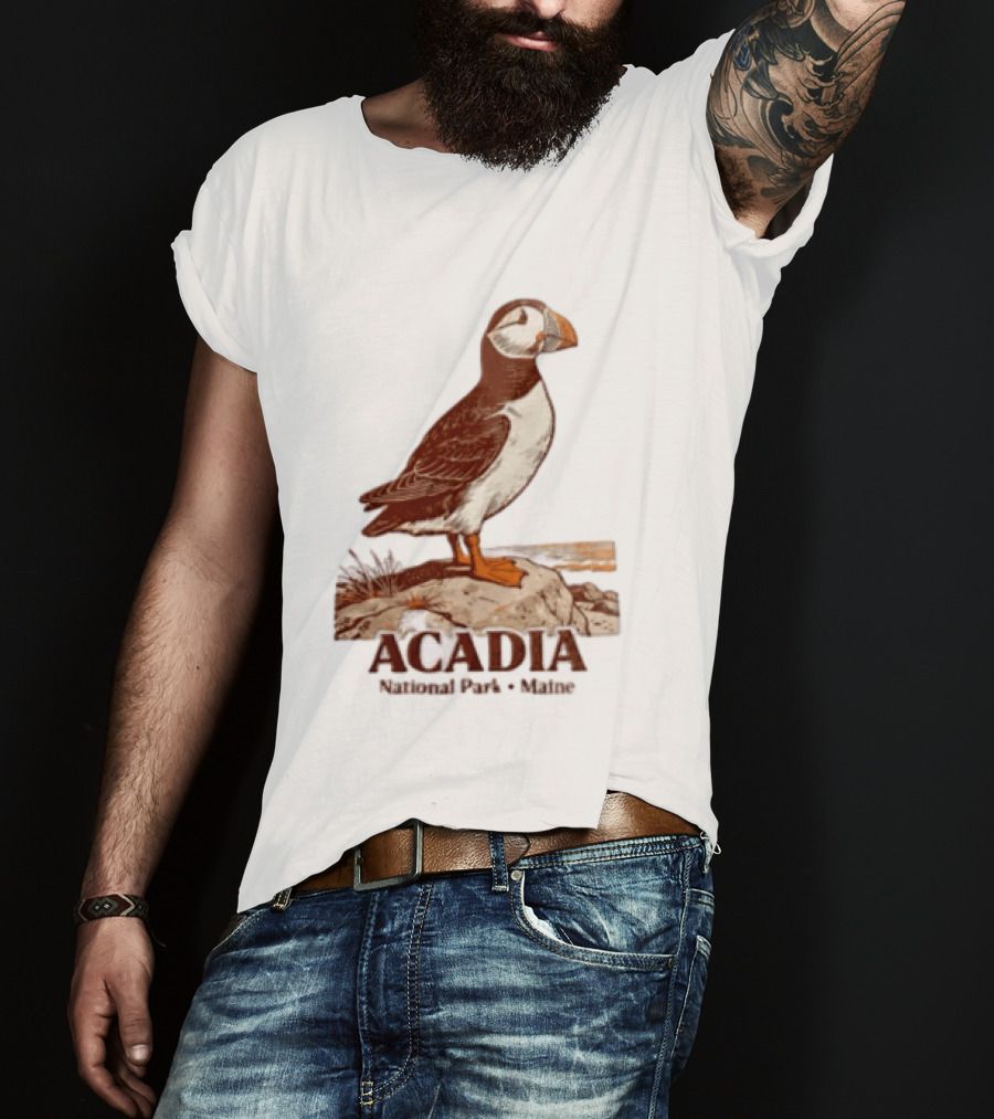 Acadia National Park Maine Puffin Standing On Rock T-Shirt