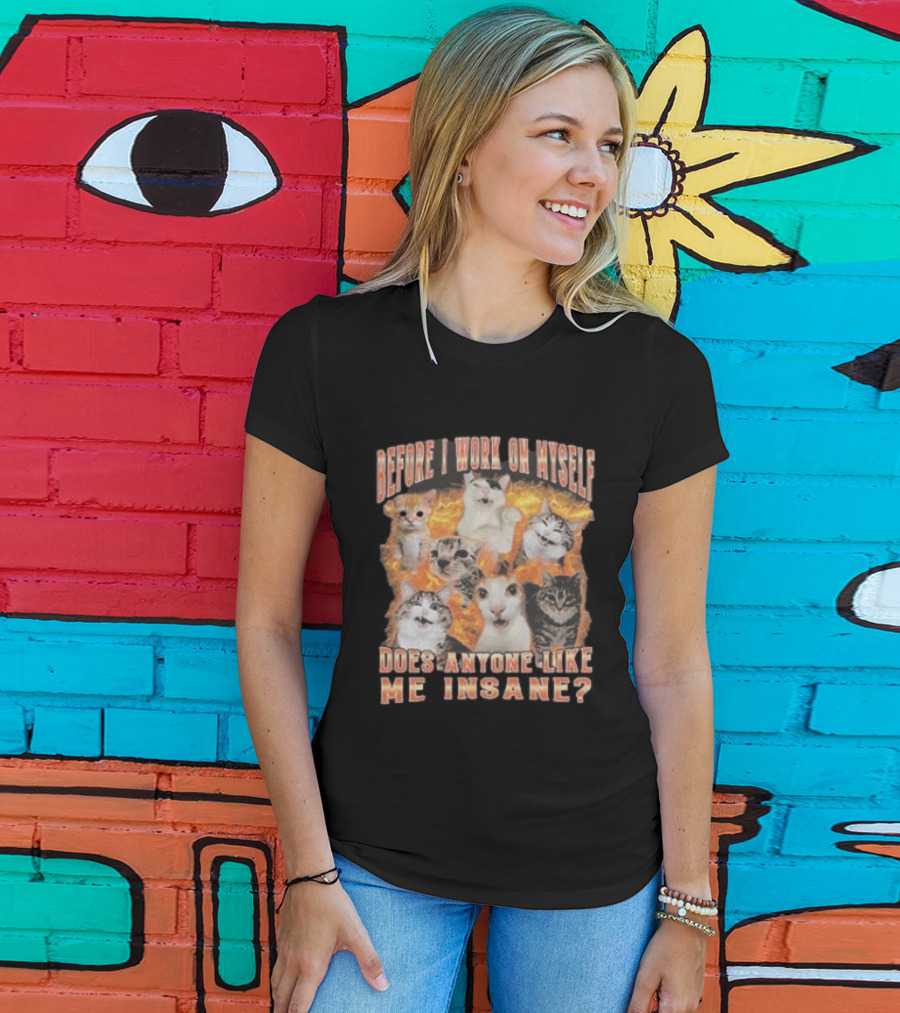 Before I Work On Myself Does Anyone Like Me Insane Cats T-Shirt