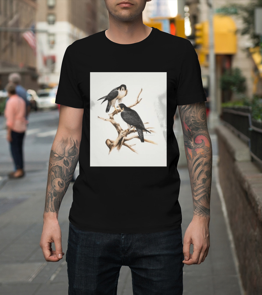 Roger Tory Peterson Peregrines 2026 Adult Ash Bird T-Shirt