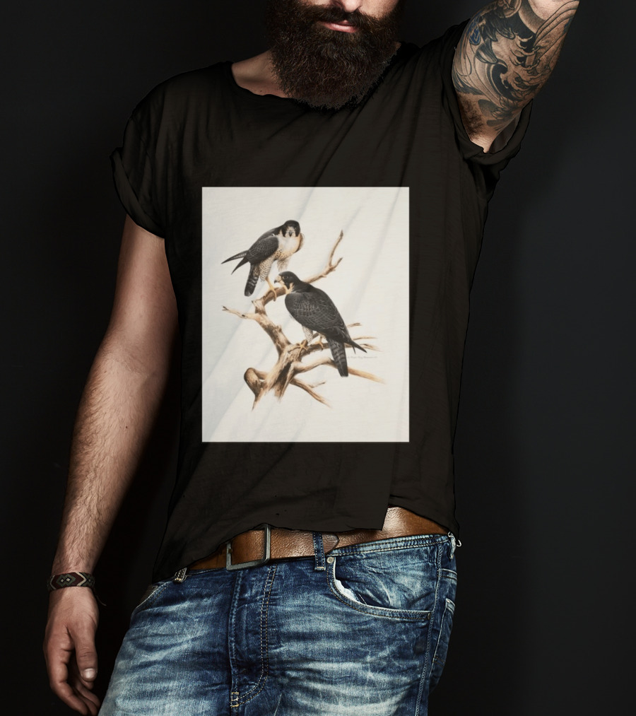 Roger Tory Peterson Peregrines 2026 Adult Ash Bird T-Shirt