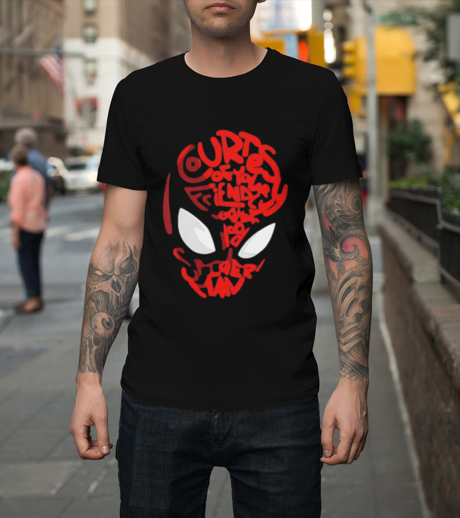 Courtesy Of Your Friendly Neighborhood Spider Man Face T-Shirt