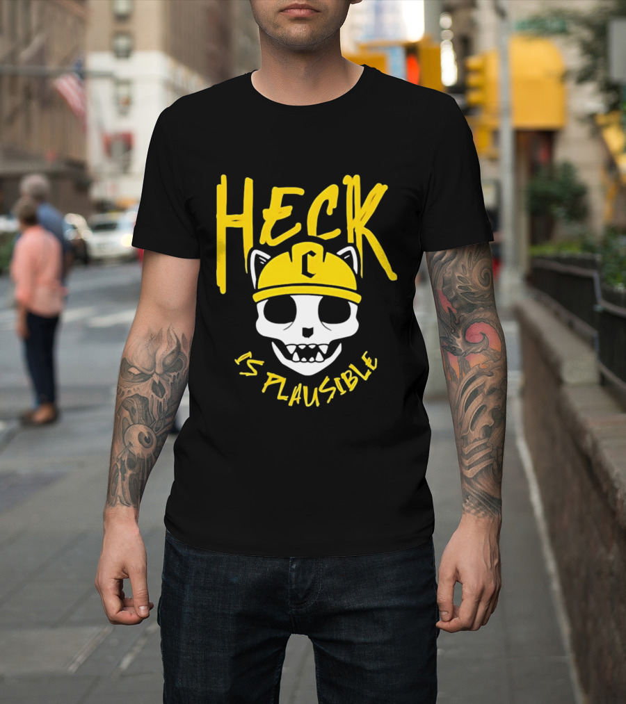 Heck Is Plausible Cat Skull Construction Helmet T-Shirt