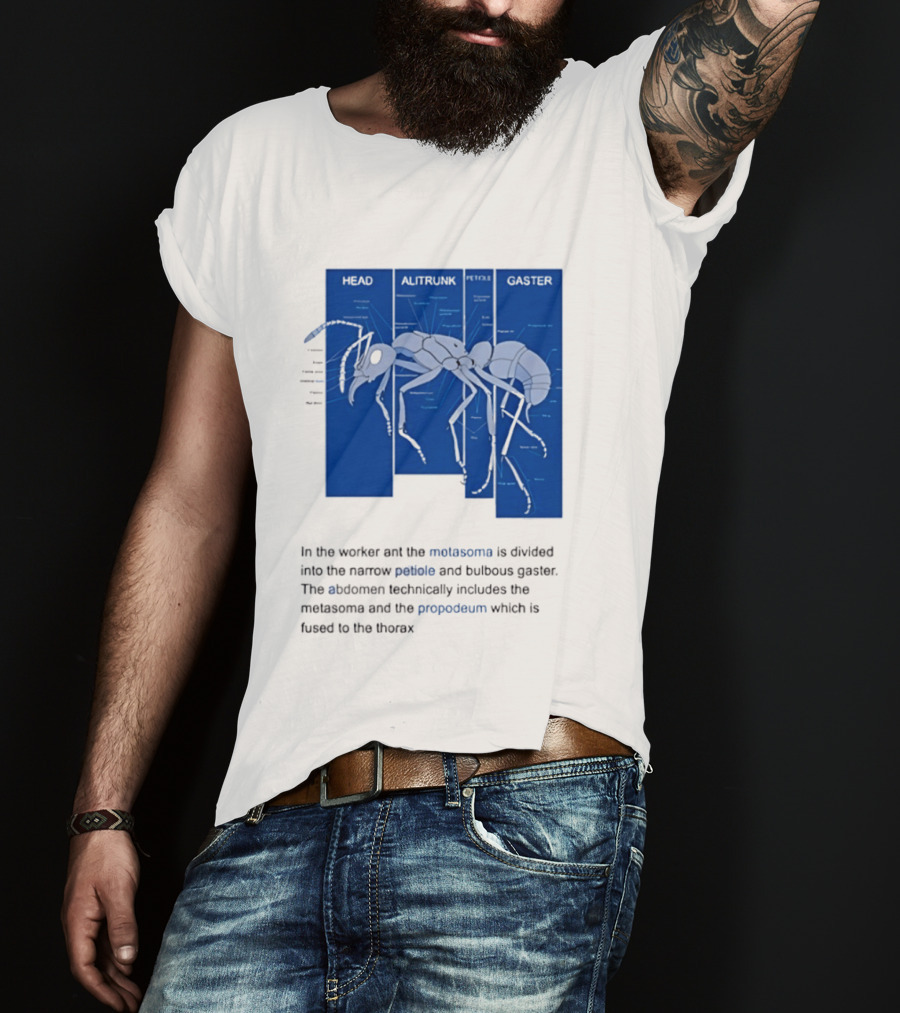 Worker Ant Diagram Head Alitrunk Gaster Metasoma Petiole Biology T-Shirt