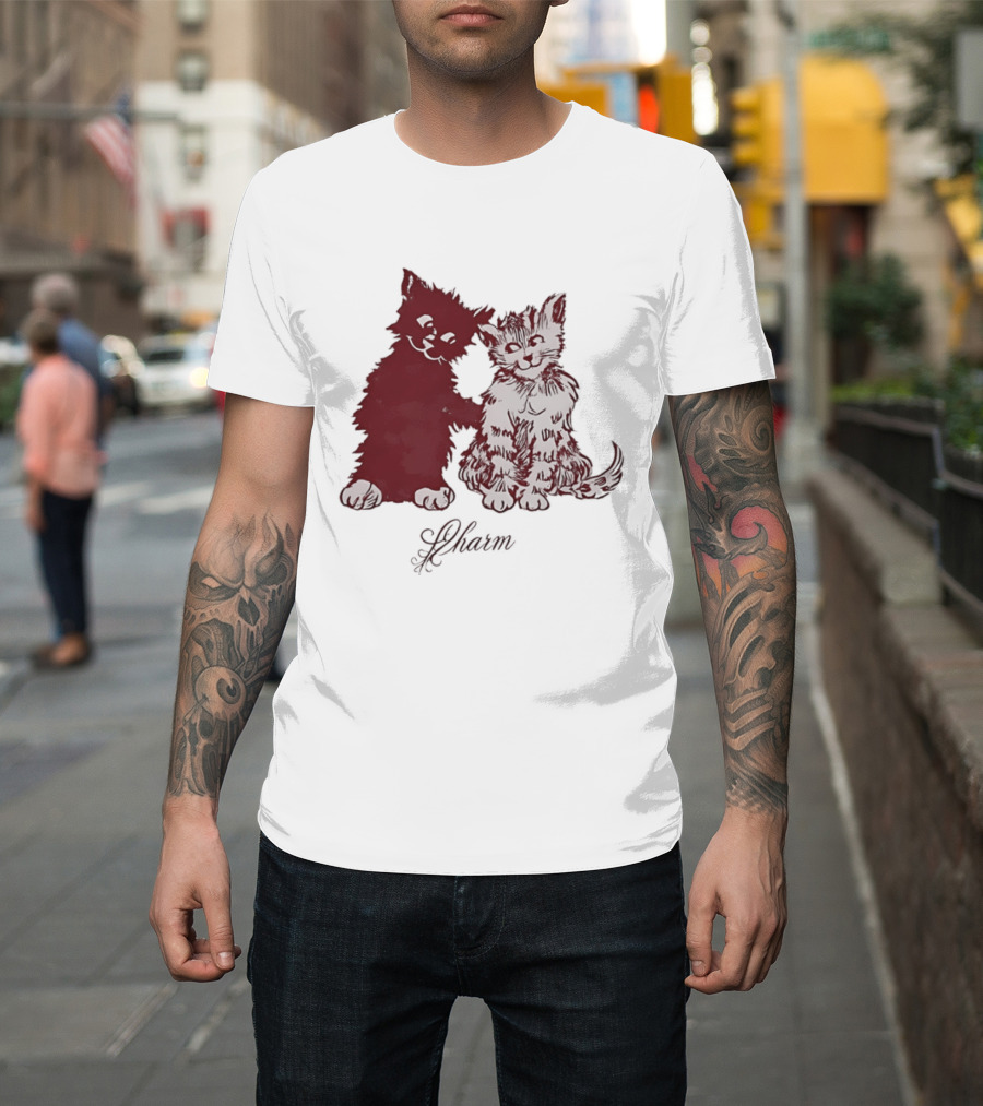 Charm Kittens Cats Hugging T-Shirt