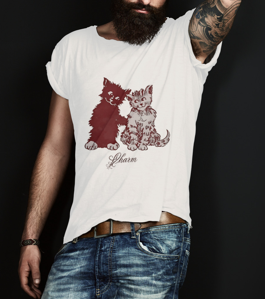 Charm Kittens Cats Hugging T-Shirt