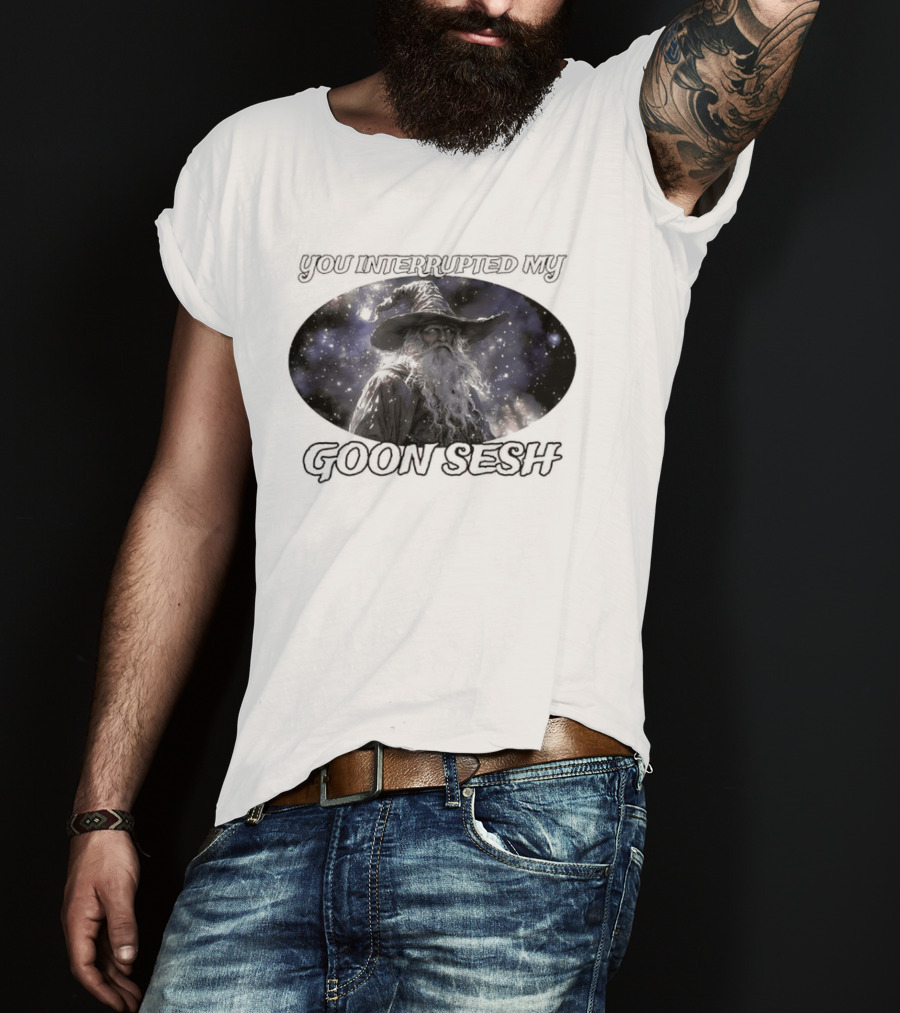 You Interrupted My Goon Sesh Wizard T-Shirt