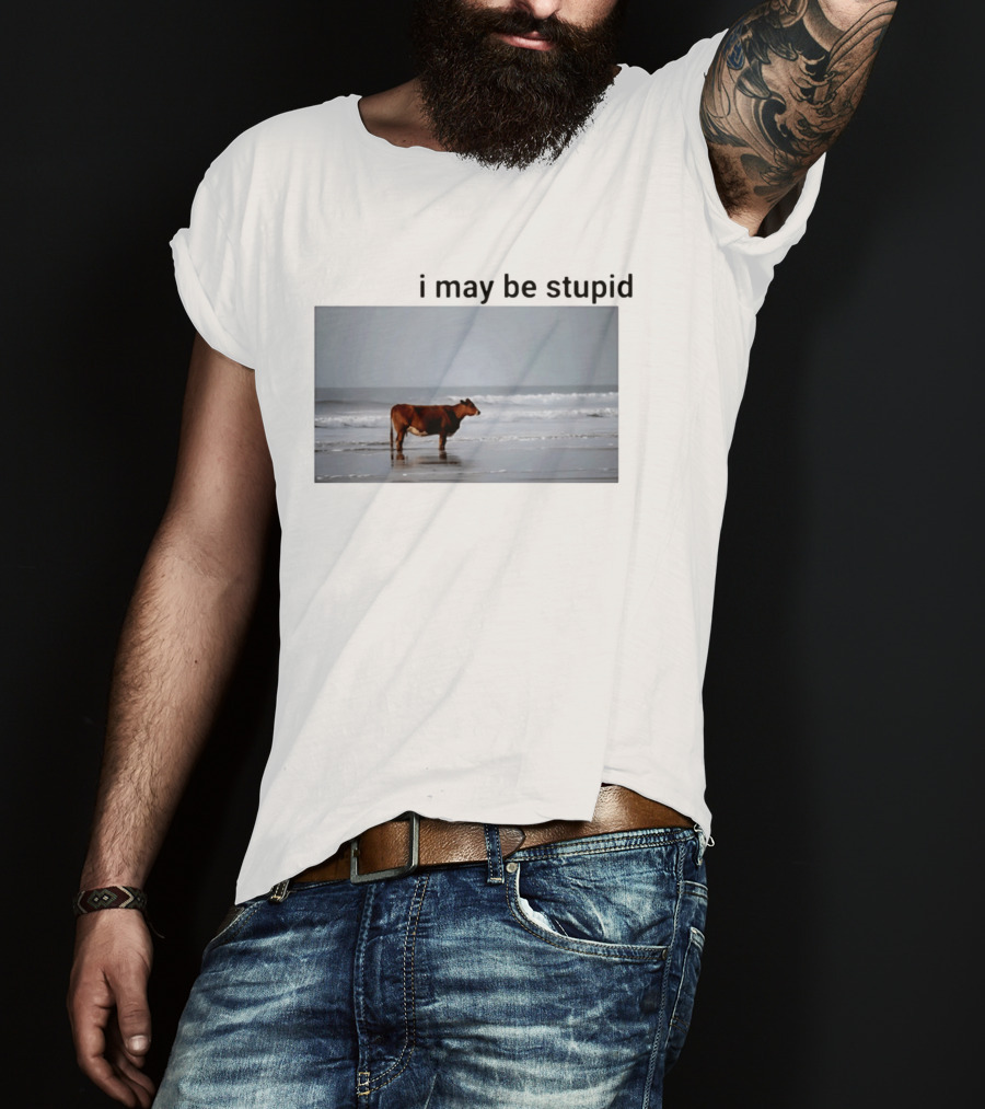 I May Be Stupid Cow At The Beach T-Shirt