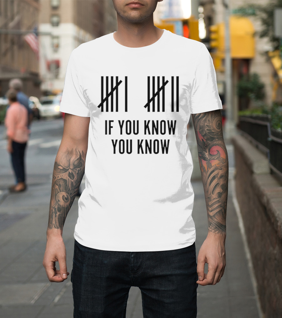 Classic Six Seven Tally Marks If You Know You Know T-Shirt