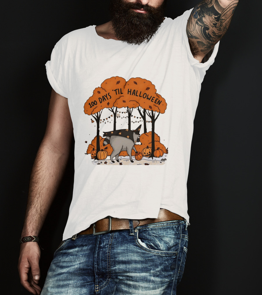 100 Days 'til Halloween Raccoon Wizard Costume In Pumpkin Patch Forest T-Shirt