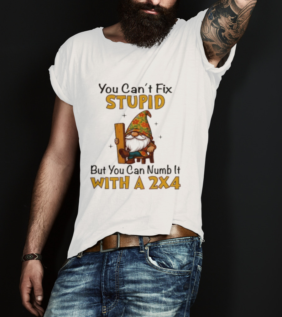 You Can't Fix Stupid But You Can Numb It With A 2x4 Gnome Holding Wood Humor T-Shirt