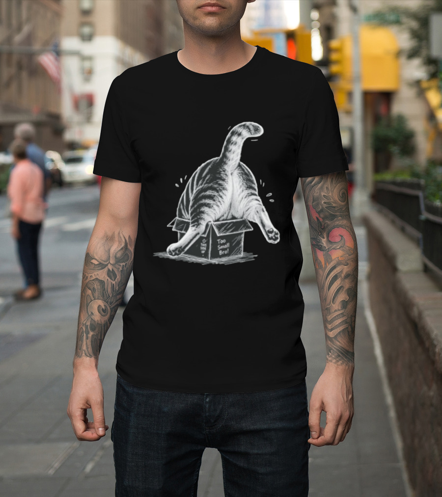 Too Small Bro Tabby Cat Stuck In Box Rear View T-Shirt