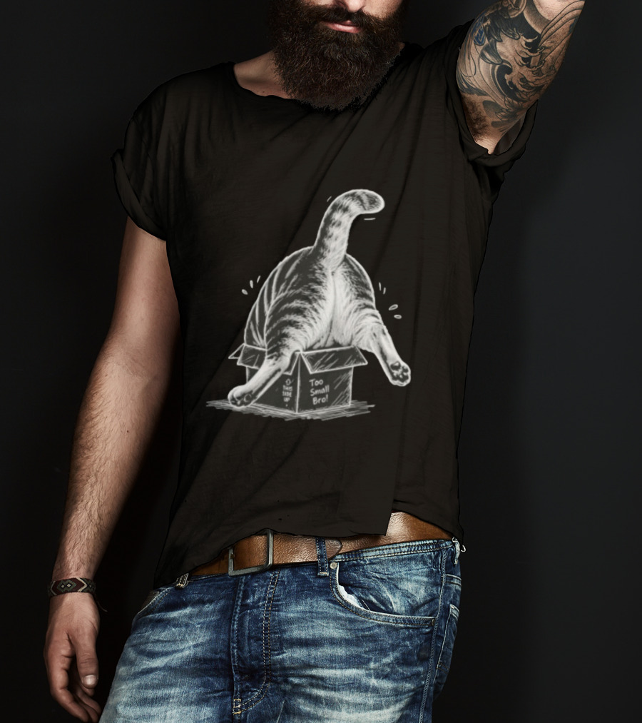 Too Small Bro Tabby Cat Stuck In Box Rear View T-Shirt