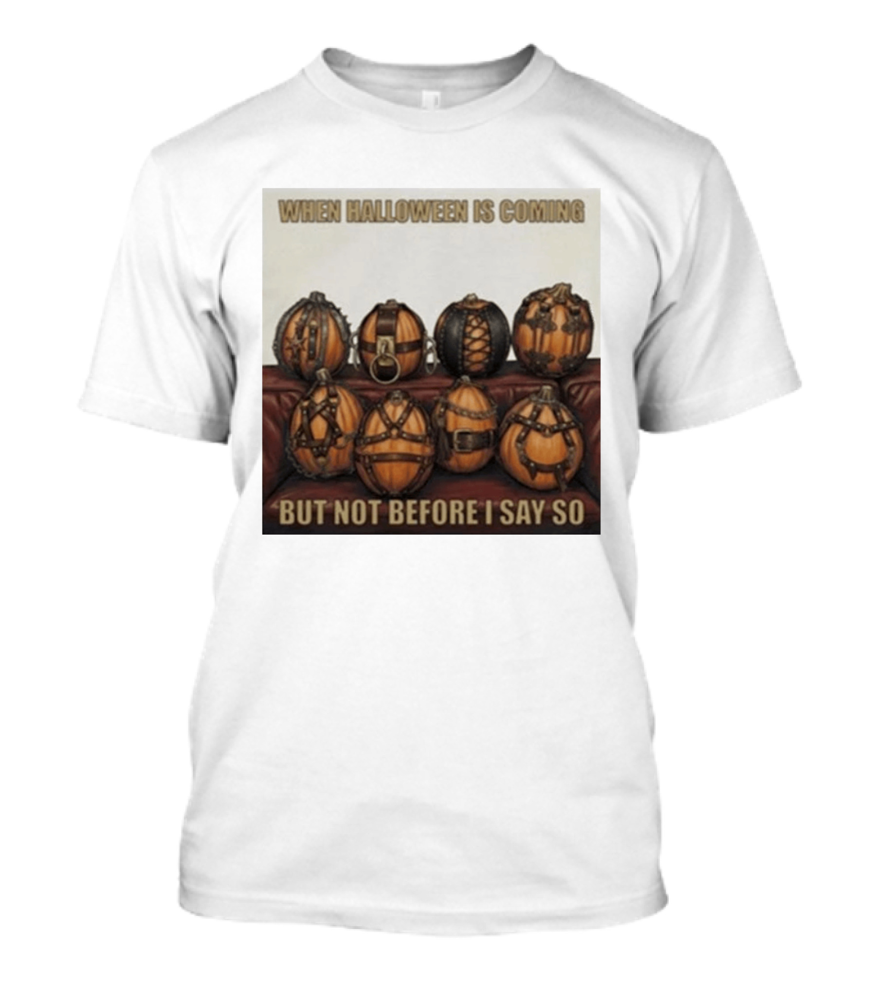 When Halloween Is Coming But Not Before I Say So Pumpkin Arrangement T-Shirt