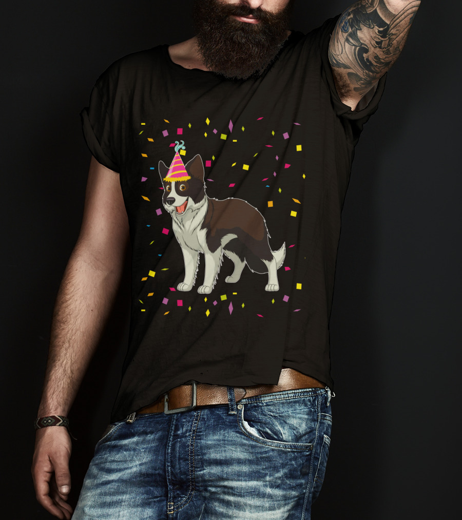Funny Border Collie Birthday Party Hat Confetti T-Shirt