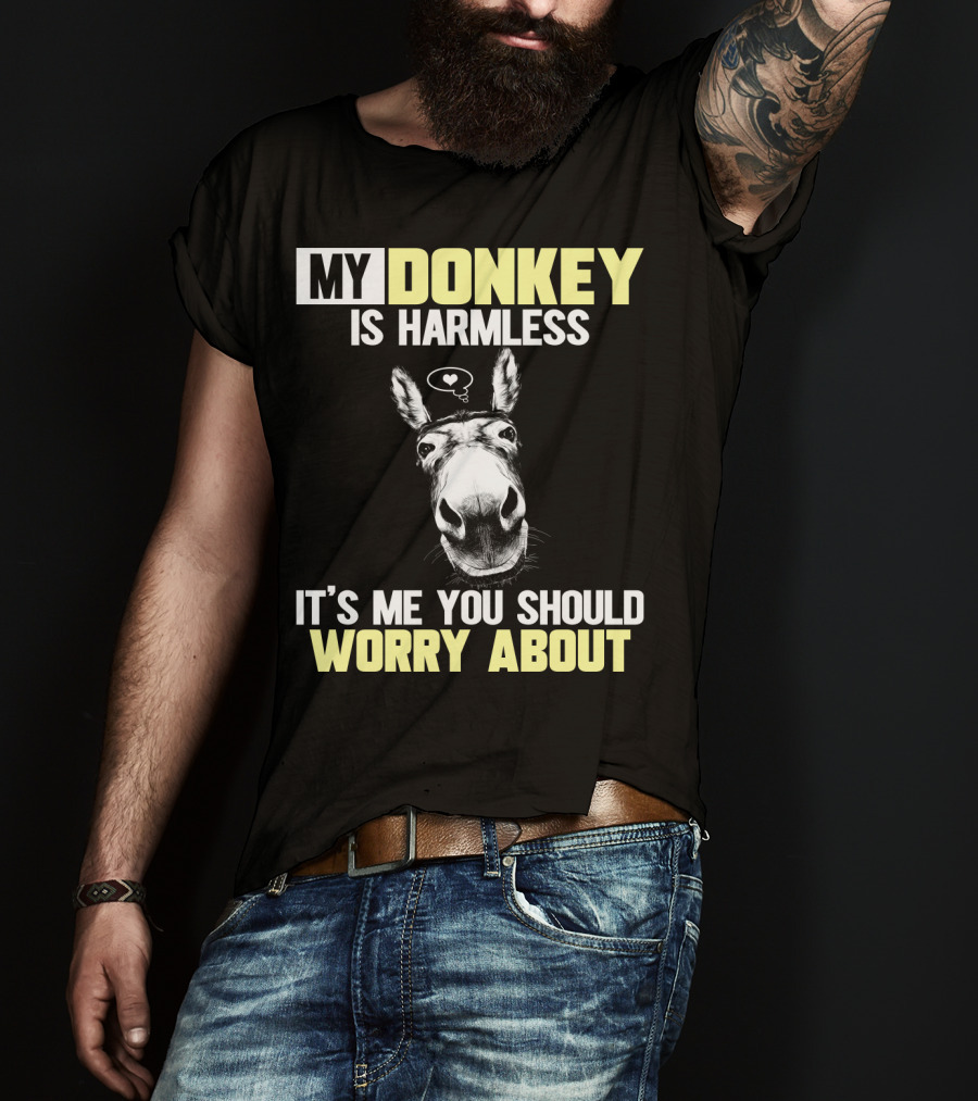 My Donkey Is Harmless It's ME You Should Worry About T-Shirt