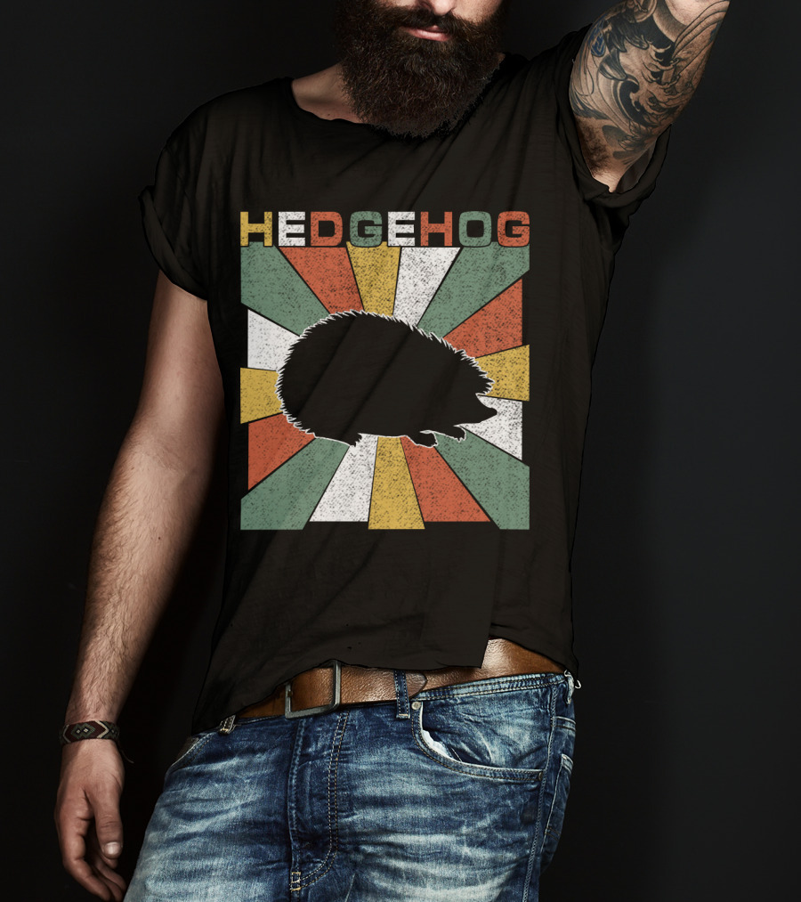 Hedgehog Retro 70s Silhouette Vintage Stripe Burst T-Shirt
