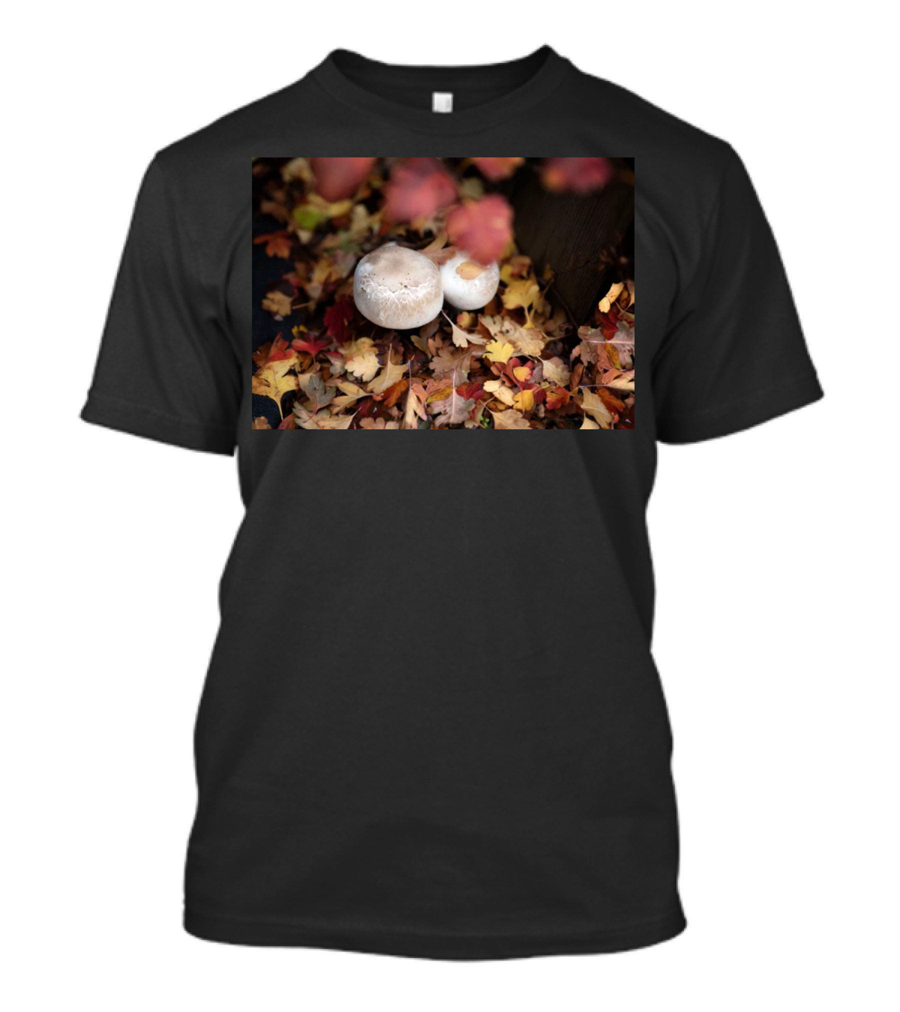 Autumn's Reward Mushrooms Amidst Fall Leaves T-Shirt