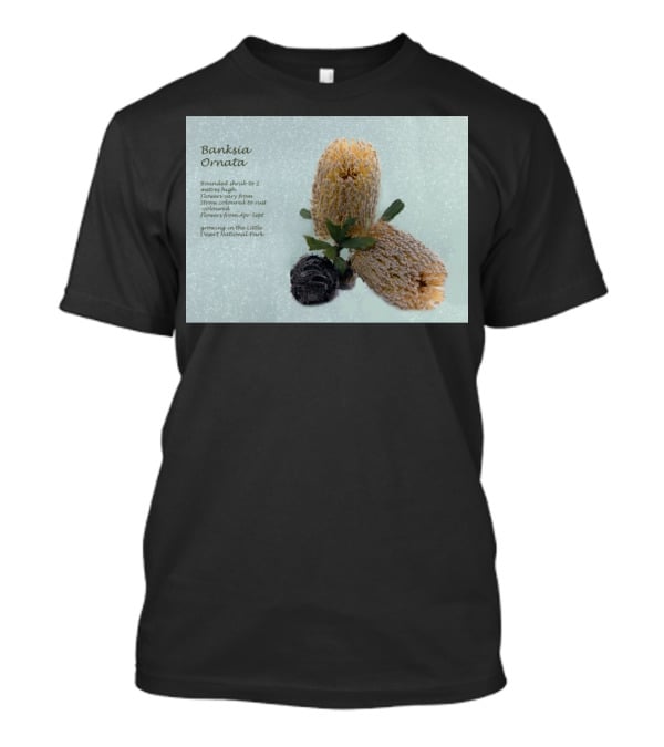 Banksia Ornata Rounded Shrubs Little Desert National Park Flowers T-Shirt
