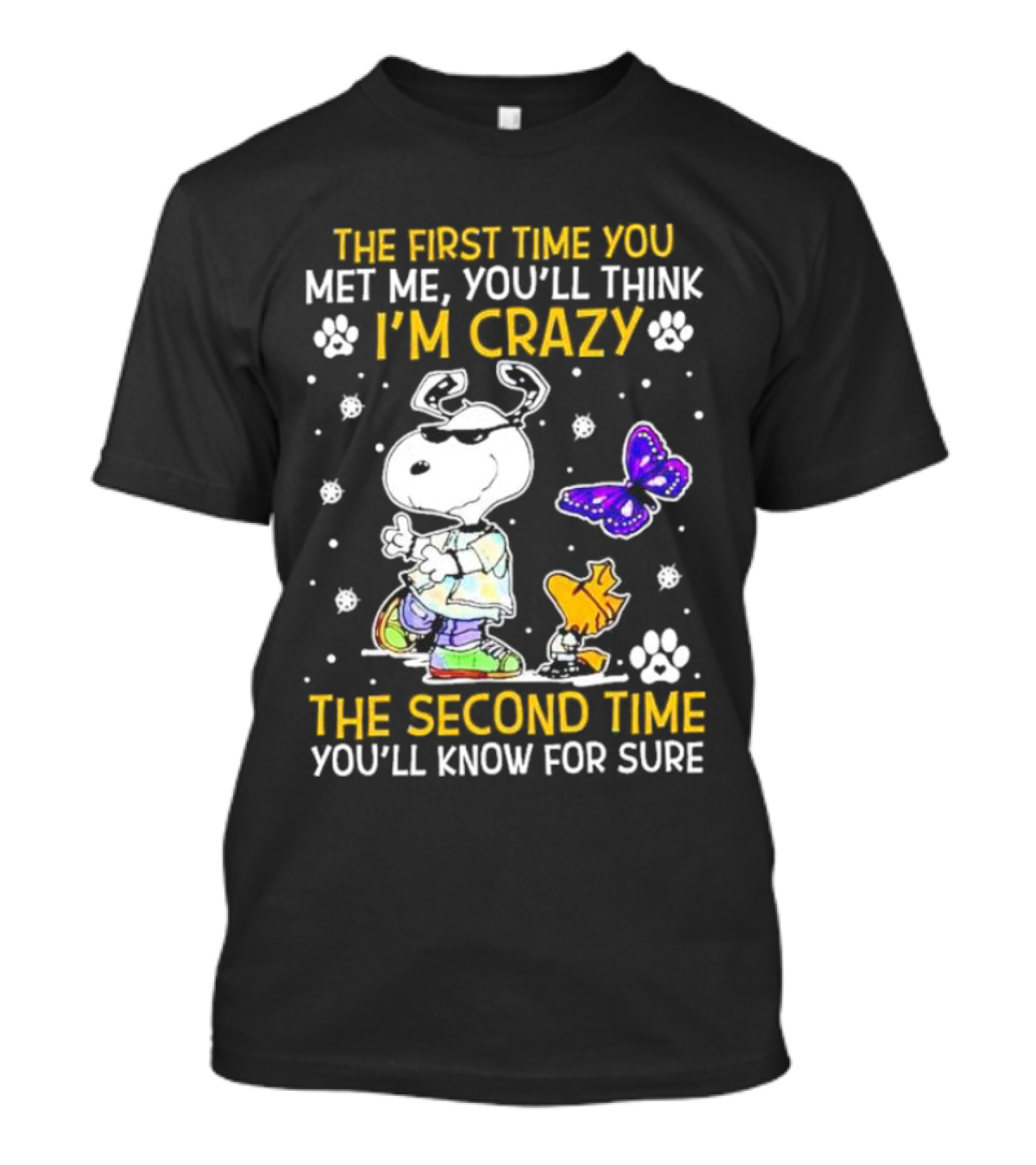 Snoopy And Woodstock The First Time You Met Me You'll Think I'm Crazy The Second Time You'll Know For Sure T-Shirt