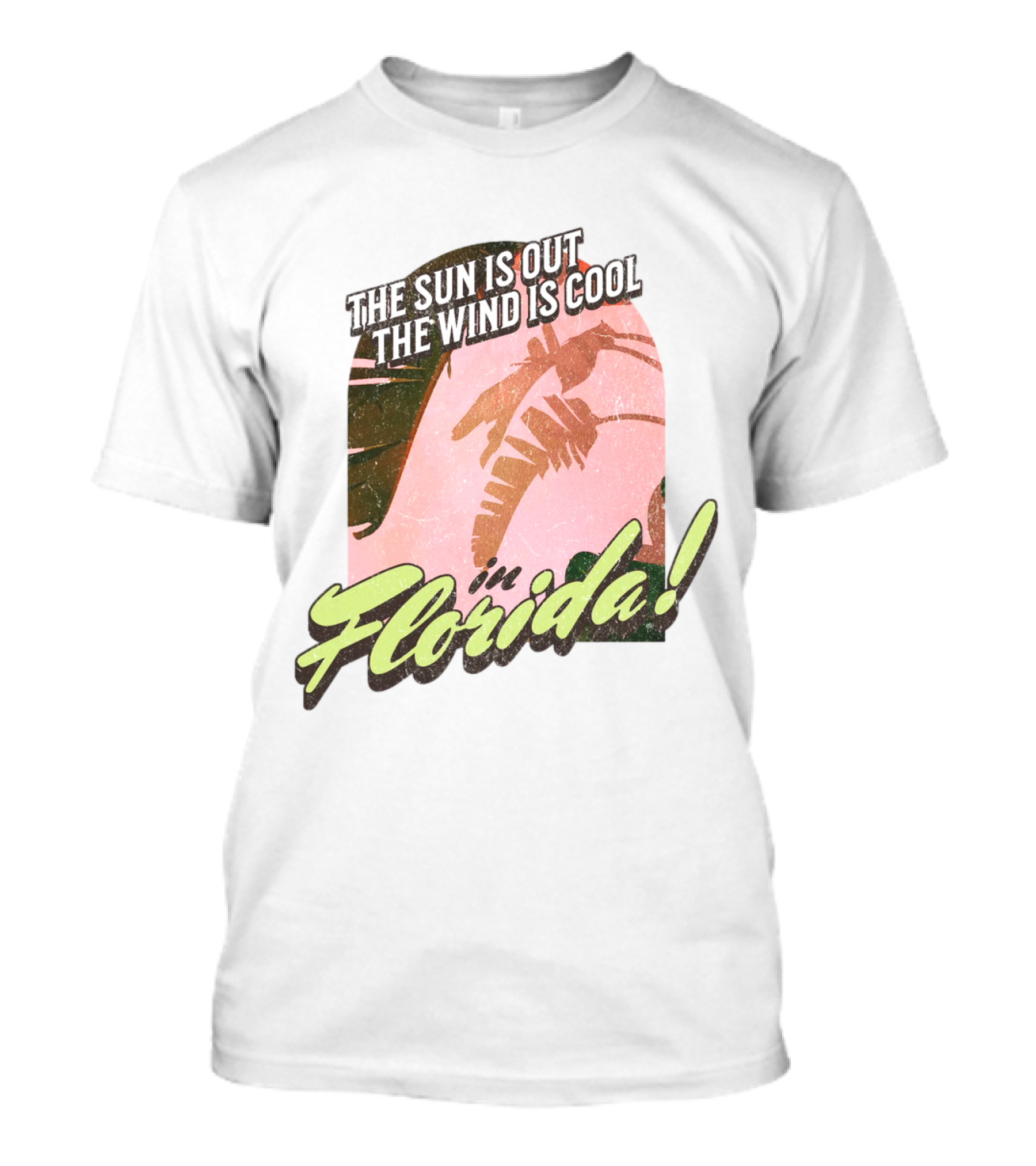 The Sun Is Out The Wind Is Cool In Florida Floridian Palm T-Shirt
