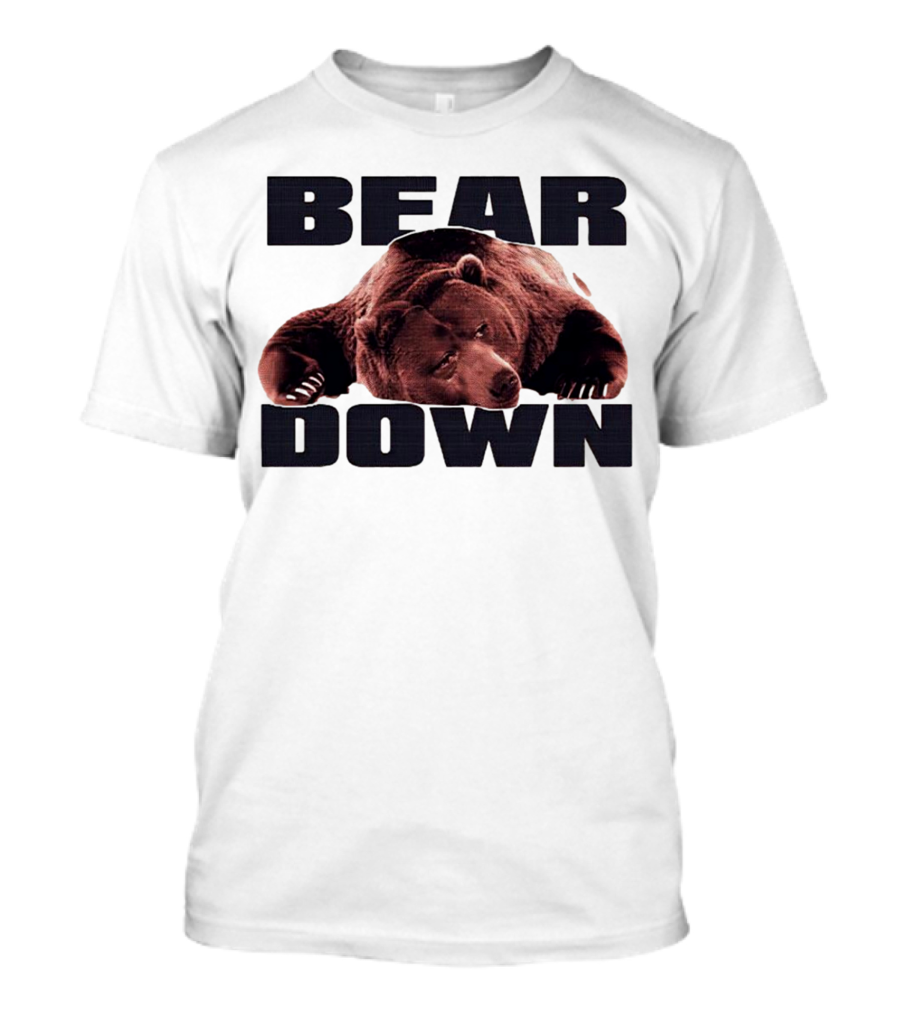 Bear Down Lazy Bear Image T-Shirt