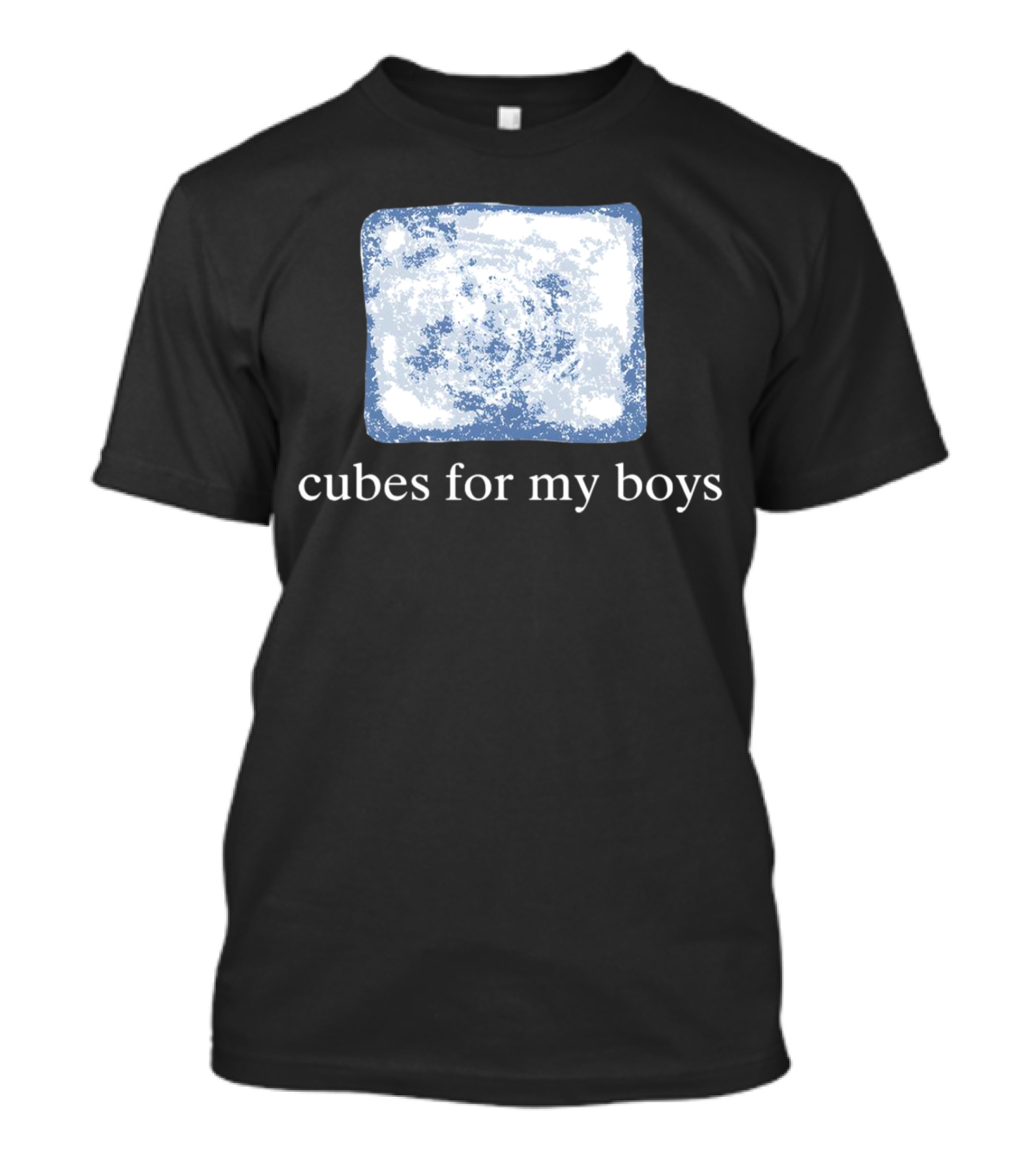 Cubes For My Boys Ice Block T-Shirt