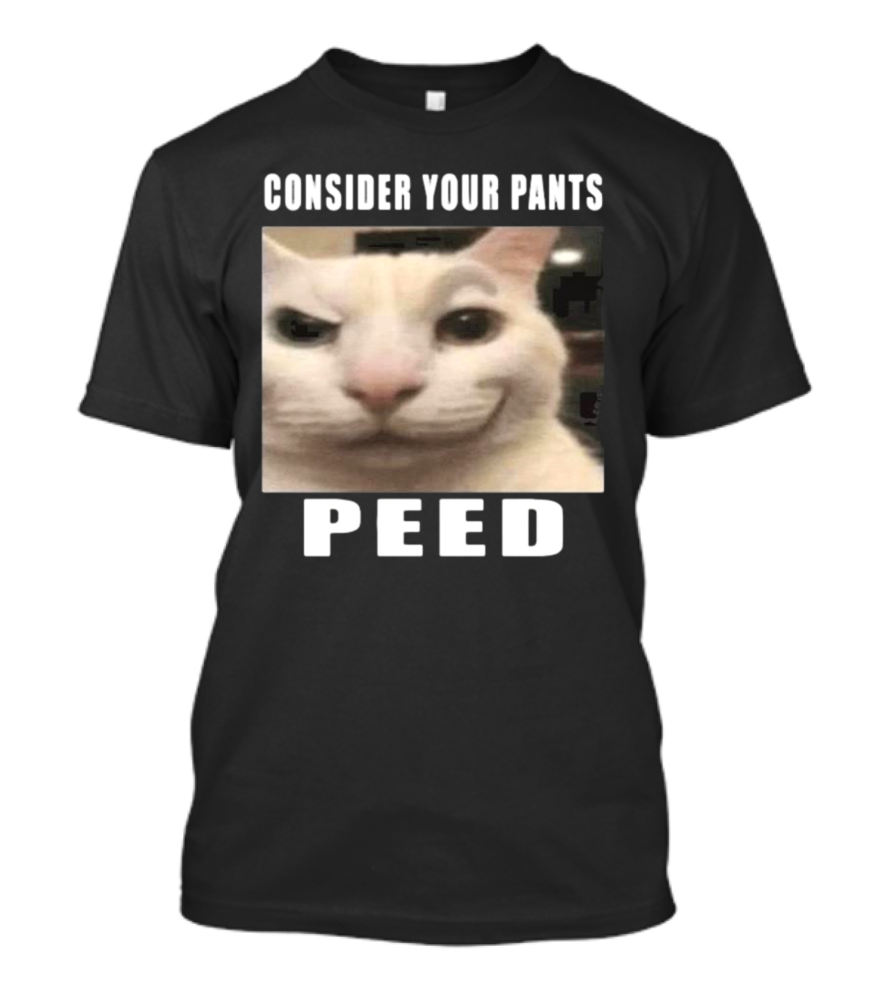 Consider Your Pants Peed Cat Meme T-Shirt