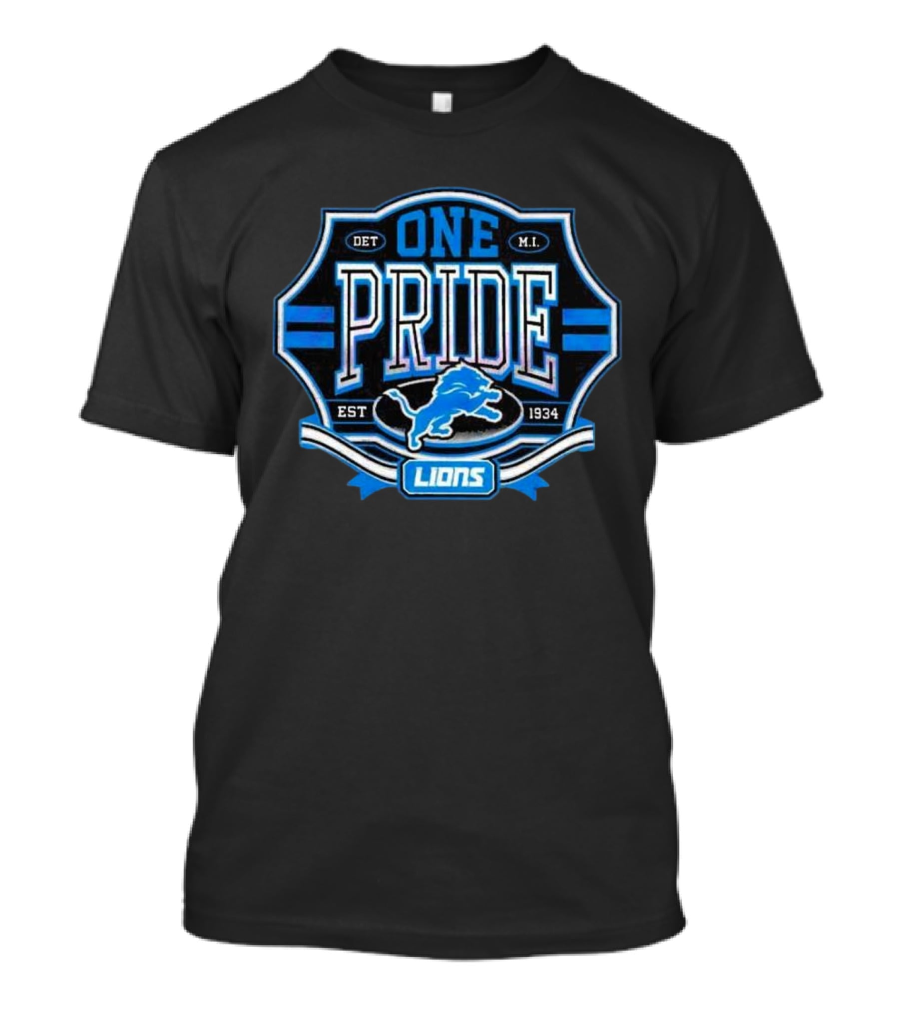 Detroit Lions One Pride Est 1934 Retro Logo DET MI T-Shirt