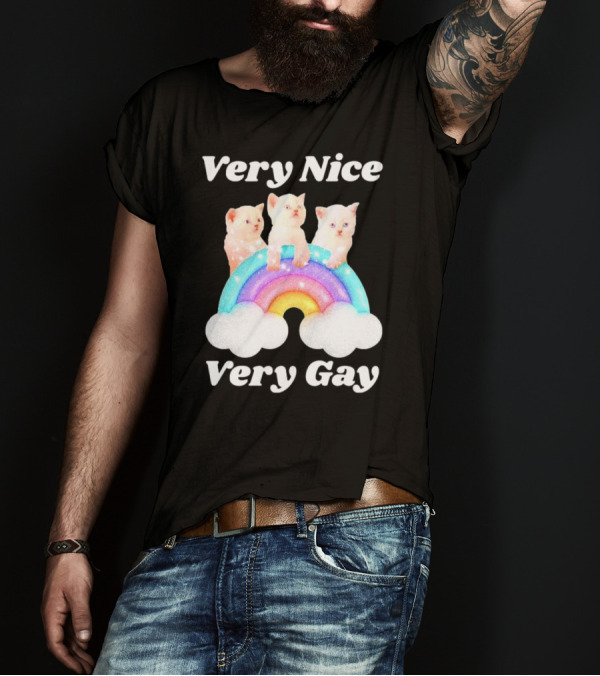 Very Nice Very Gay Cats On Rainbow T-Shirt