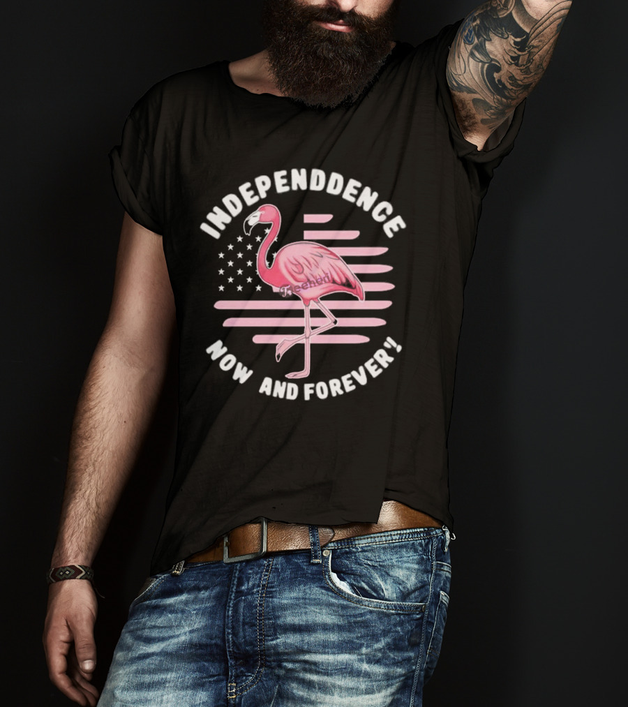 Independence Now And Forever Flamingo America Flag T-Shirt