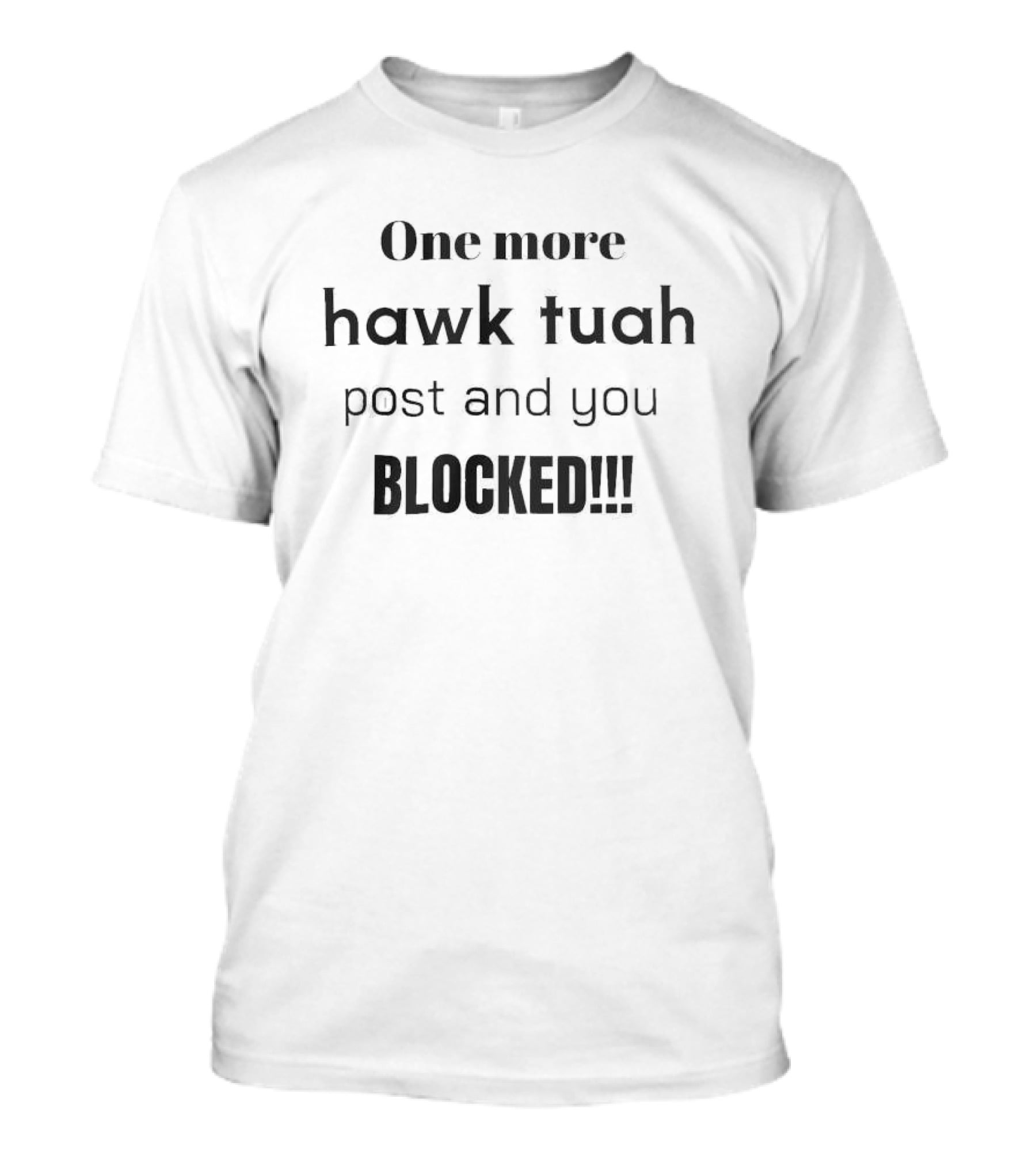 One More Hawk Tuah Post And You Blocked T-Shirt
