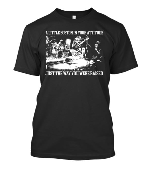 A Little Boston In Your Attitude Just The Way You Were Raised The Menzingers T-Shirt