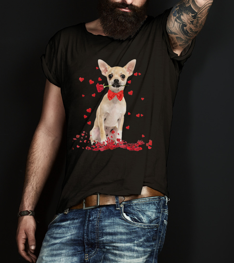 Chihuahua Valentine's Day Rose And Hearts T-Shirt
