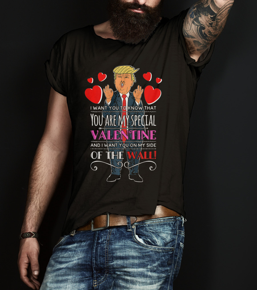 You Are My Special Valentine And I Want You On My Side Of The Wall T-Shirt
