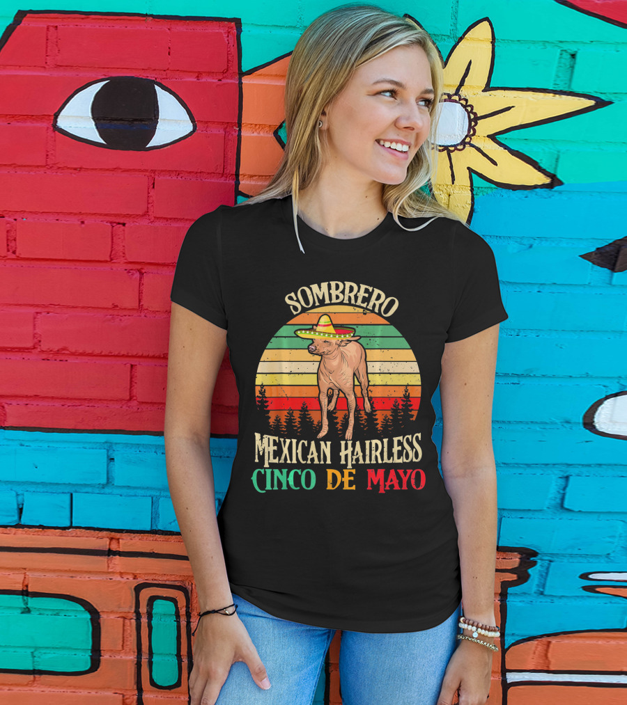 Sombrero Mexican Hairless Cinco De Mayo Vintage Sunset T-Shirt
