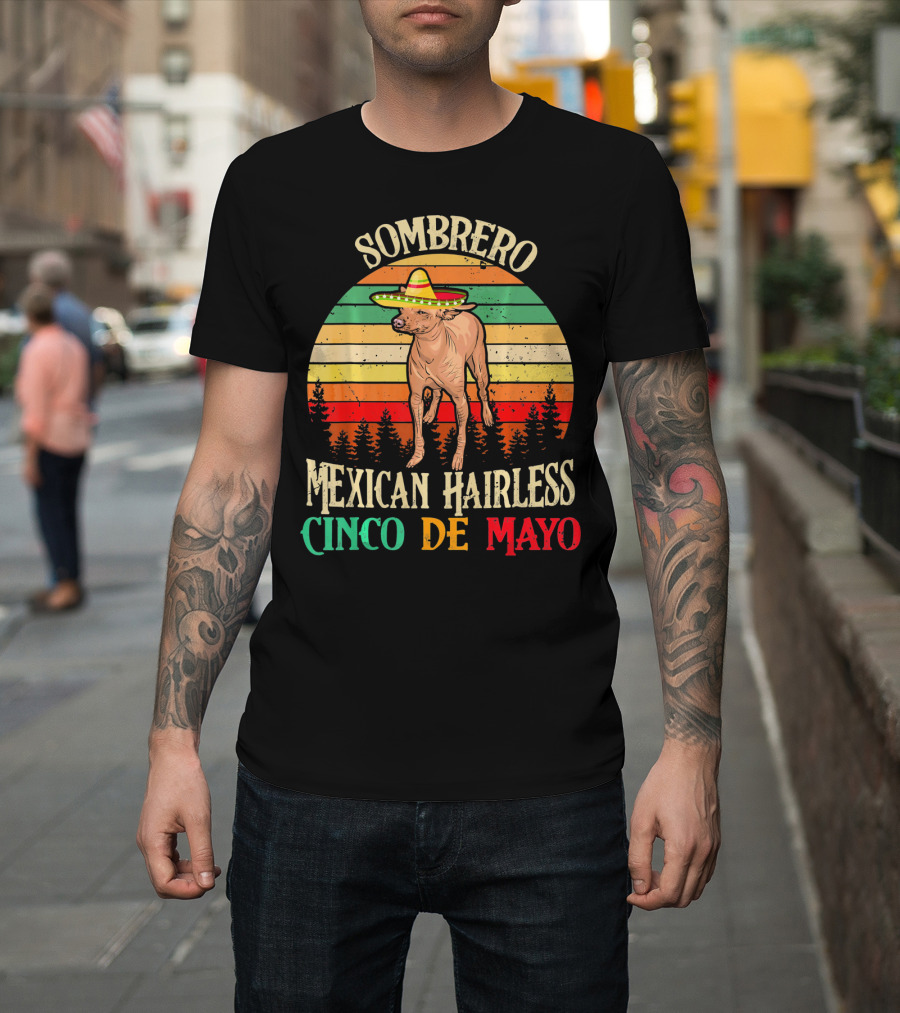 Sombrero Mexican Hairless Cinco De Mayo Vintage Sunset T-Shirt