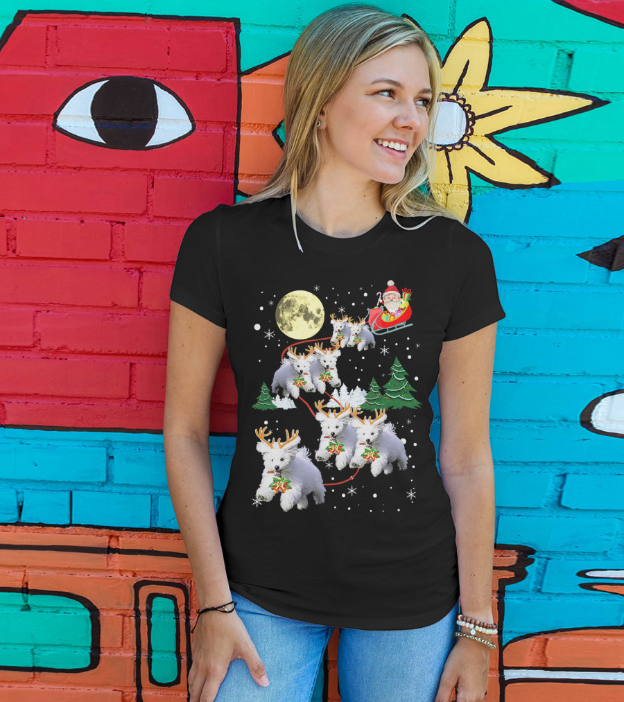 Funny Maltese Christmas Santa Claus Sleigh Reindeer Dogs Pajama T-Shirt