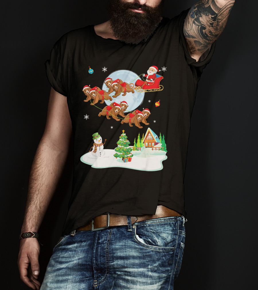 Santa Claus Sleigh With Bears And Snowman By Moonlit Cabin Noel T-Shirt