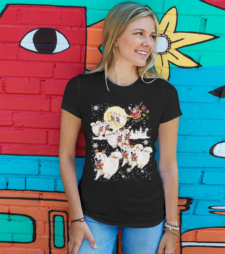 Great Pyrenees Reindeer Santa Christmas With Sleigh And Snowflakes T-Shirt