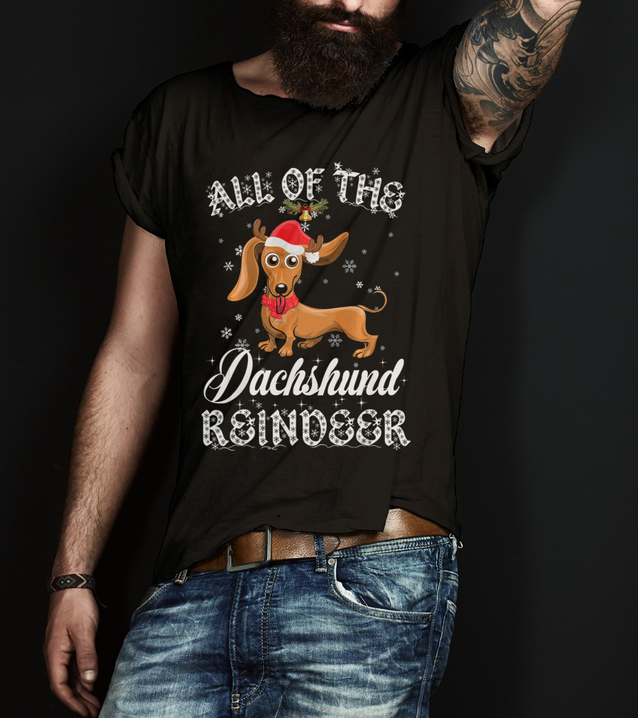 All Of The Dachshund Reindeer Santa Hat Snowflakes T-Shirt