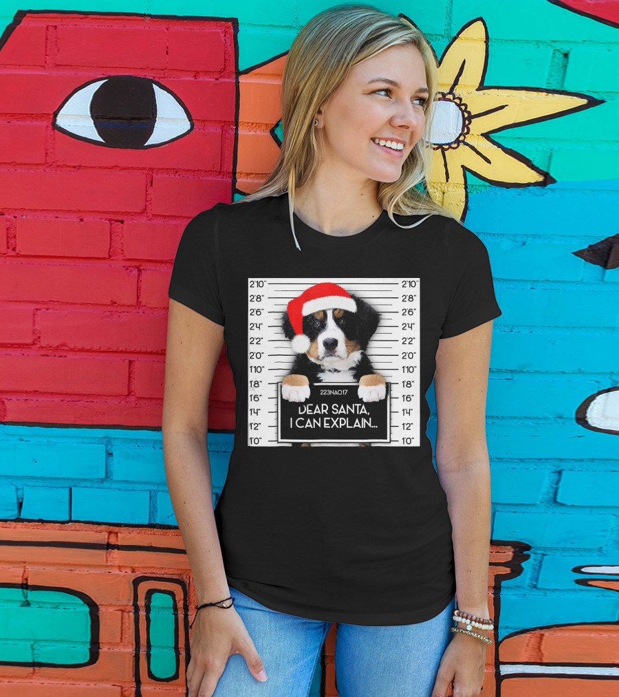 Xmas Bernese Mountain Dog Lover Santa Hat Dear Santa I Can Explain T-Shirt
